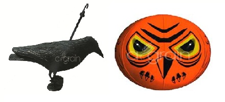 Animal, Bird and Insect Products