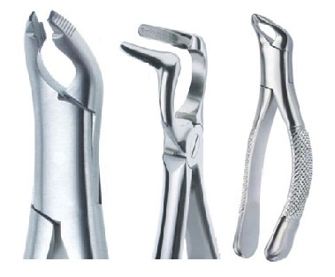 Extraction Forceps