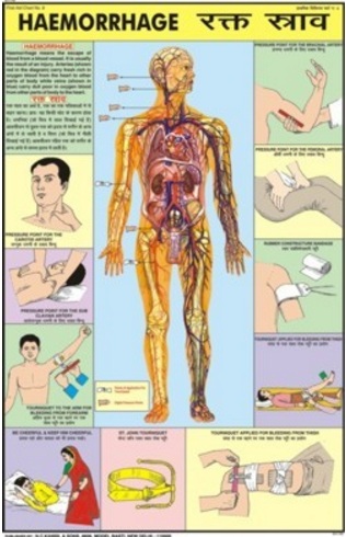 First Aid Charts