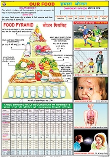 Food And Nutrition Charts