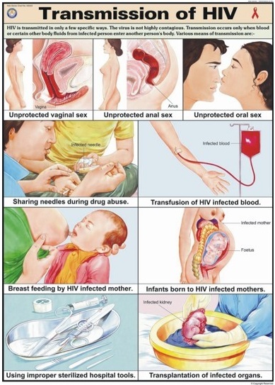 Aids Awareness Chart