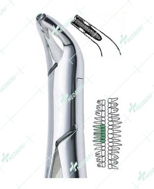 151 AS Extraction Forceps