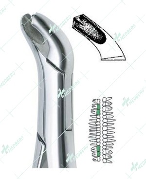 17 Extraction Forceps-Carbide Tip
