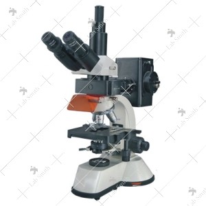 Fluorescence Microscope 