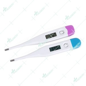 Portable Digital Thermometer