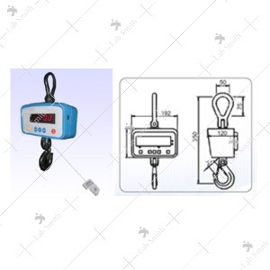 Standard Crane Scales (CCS) (0.5, 1 ton)