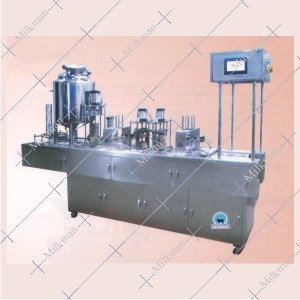 Automatic Ice Cream Box Filling And Sealing Machine