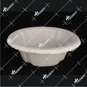 G BOWL Molded Pulp