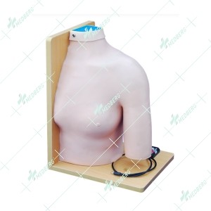 Shoulder Joint Intracavitary Injection Model