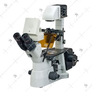 Inverted Fluorescence Microscope 