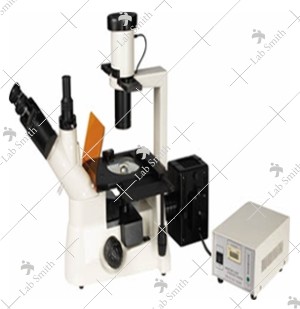 Fluorescent Research Microscope
