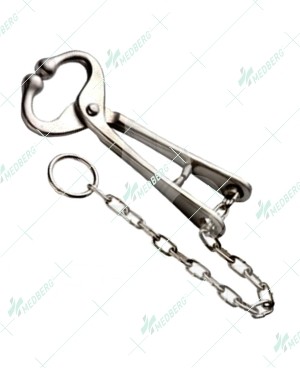 Bull Lead With Chain