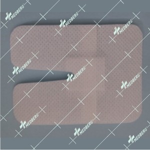 IV Dressing