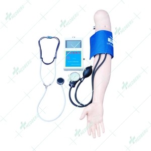 Blood Pressure Training Arm