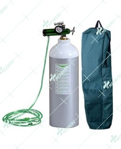 Cylinder 1.8 Ltr W.C.