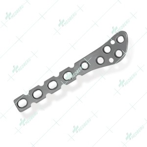 Distal Fibular Plate