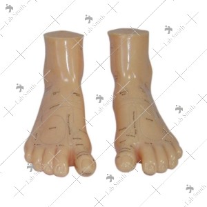 Massage Foot Model 17CM