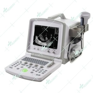 Doppler Ultrasound Scanner