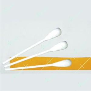 Lemon-Glycerine Swabstick