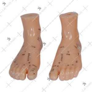 Massage Foot Model 12CM