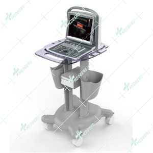 Portable Convex Ultrasound Scanner