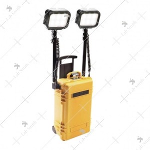 9460 Remote Area Lighting System