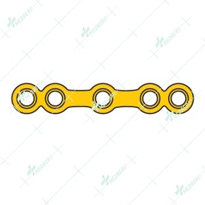 5 Hole Straight Plate