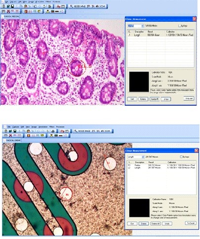 Image Analysis Partner