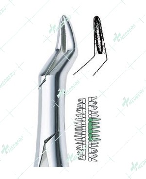 65 Extraction Forceps-Carbide Tip