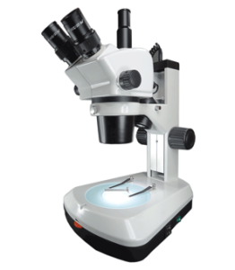 Stereo Zoom Microscope