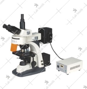 Fluorescent Research Microscopes