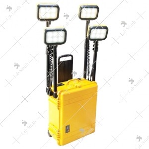 9470 Remote Area Lighting System