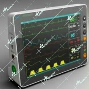 3 Para Multipara Monitor