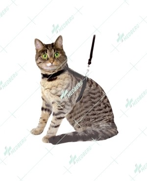 Cat Harness Made of Nylon