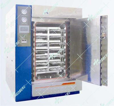 Multifunctional Medicine Sterilizer