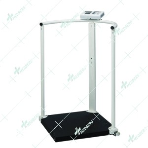 Handrail Scales