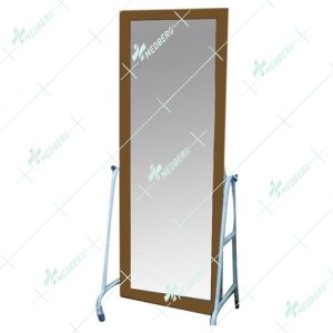 Postural Training Mirror
