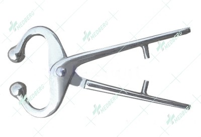 Bull Holder