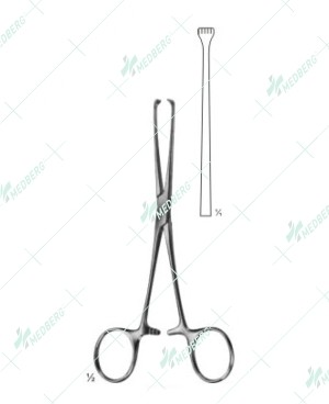 Allis Abdominal Intestinal Instrument