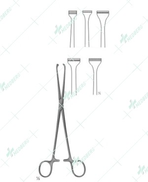 Allis Abdominal Intestinal Instrument, 155 mm