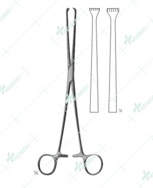 Allis Abdominal Intestinal Instrument, 5 x 6 teeth, 190 mm