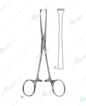 Allis Forceps, 5x6 teeth