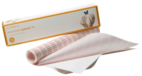 Amersham Hybond