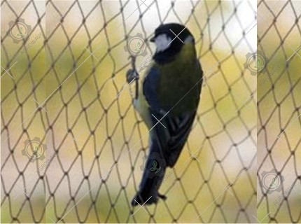 Anti Bird Net