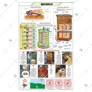 Apiculture