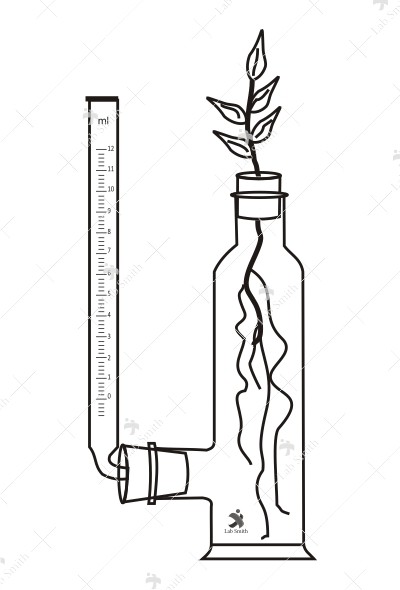 Apparatus for determining the quality of water absorbed and given off by transpiring plants, bottle, side tube.