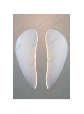 Arch Support