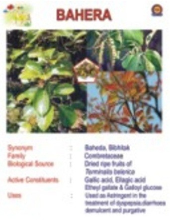 Bahera Information Chart