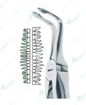 Bayonet Tip Lower Atraumatic Extraction Forceps