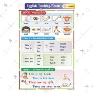 Body Parts Charts